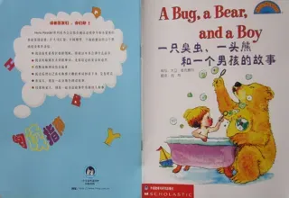 一只臭虫、一头熊和一个男孩的故事