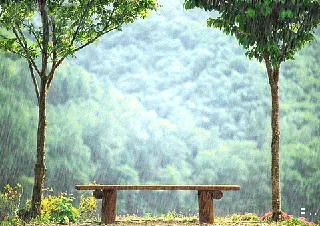 下雨了