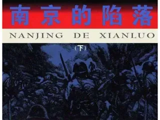 南京的陷落（下）