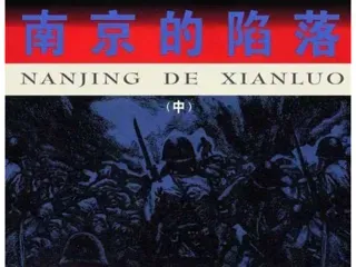 南京的陷落（中）